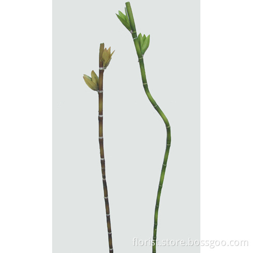 Med.Bamboo Stem